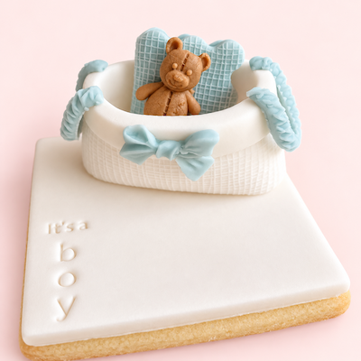 New Born Bag