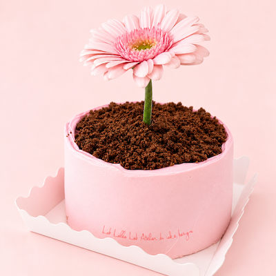 Flower Pot Cake