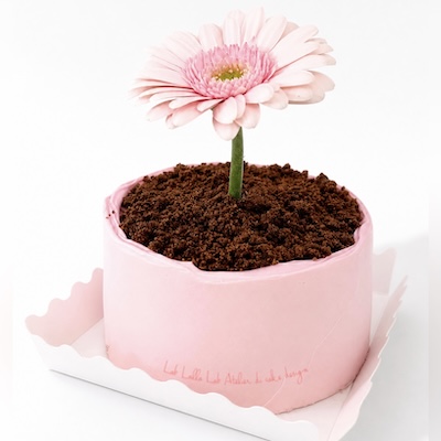 Flower Pot Cake